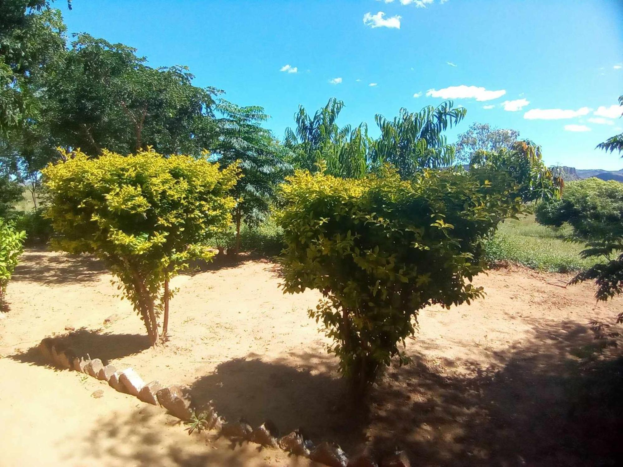 Ecolodge D'Isalo Ranohira 외부 사진